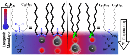 Thermodynamic Signatures of the Origin of Anti-Hofmeister Selectivity for Phosphate at Aqueous Interfaces